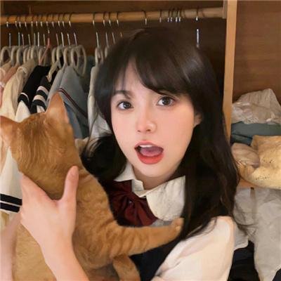 神驹黑美人